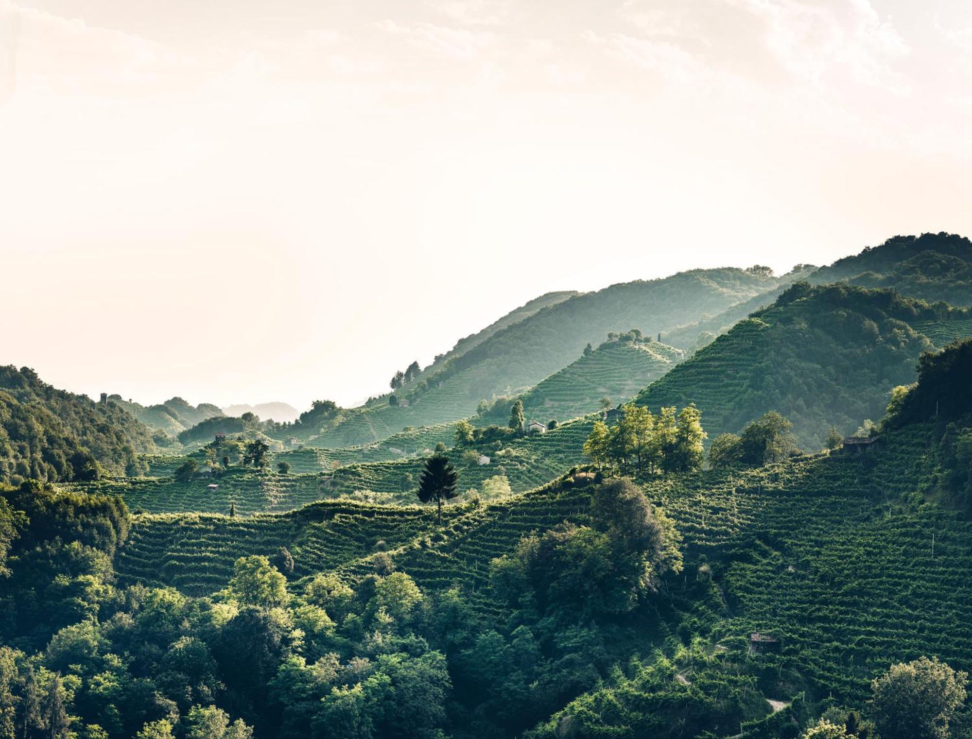 Locanda Da Lino Pieve di Soligo Luaran gambar